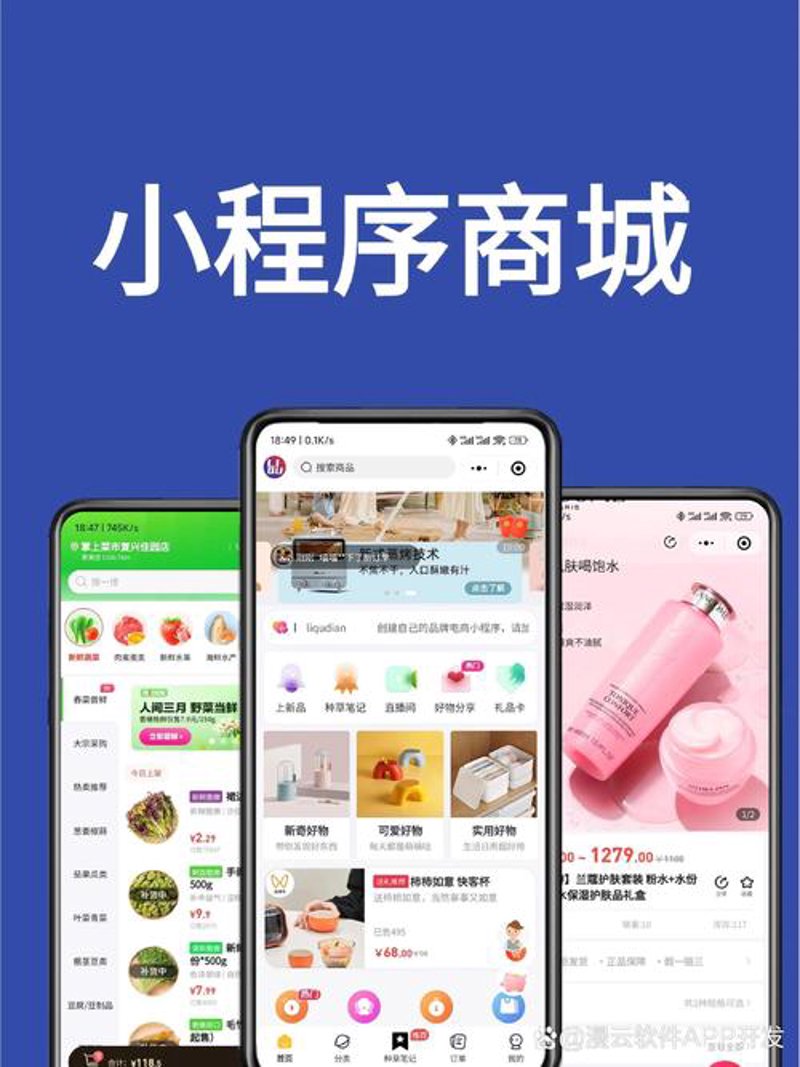 赣州软件开发——软件行业的新星